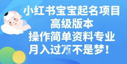 小红书宝宝起名项目高级版本，操作简单，资料专业，月入过W-BT狗资源网