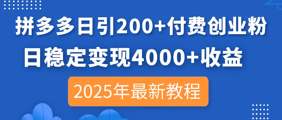（14217期）拼多多日引200+付费创业粉，日稳定变现4000+收益，2025年最新教程-BT狗资源网