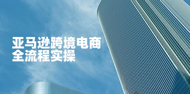 （14252期）亚马逊跨境电商全流程实操，教你从零开始，掌握店铺运营与广告技巧-BT狗资源网