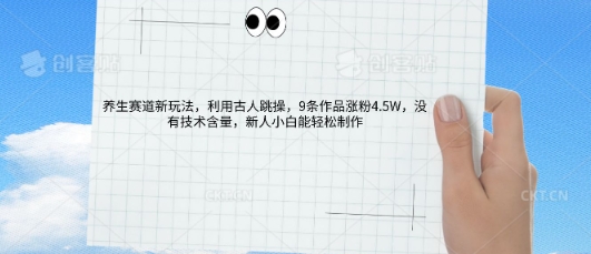 AI养生赛道新玩法，10条作品涨粉5.2W，操作简单，新人小白能轻松制作-BT狗资源网