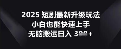 2025短剧最新升级玩法，小白也能快速上手，无脑搬运日收3张-BT狗资源网