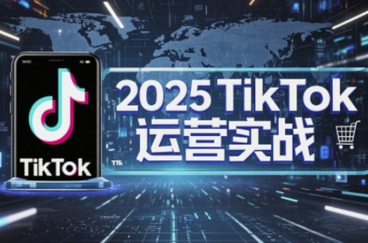2025TikTok电商运营，掌握TikTok店铺运营核心技巧，实现低成本高转化-BT狗资源网
