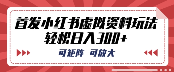 首发小红书虚拟资料玩法，可矩阵，可放大，轻松日收3张-BT狗资源网