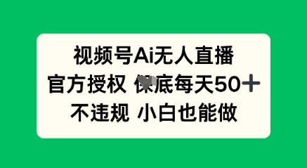 视频号AI无人直播，官方授权  每天50+，不违规 小白也能做-BT狗资源网