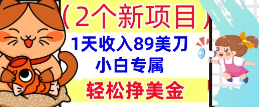 2个新项目，轻松挣美金， 1天收入89美刀，小白专属，干货分享-BT狗资源网