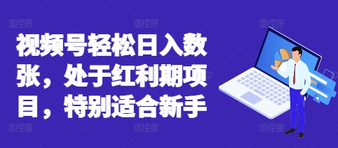 视频号轻松日收数张，处于红利期项目，特别适合新手-BT狗资源网