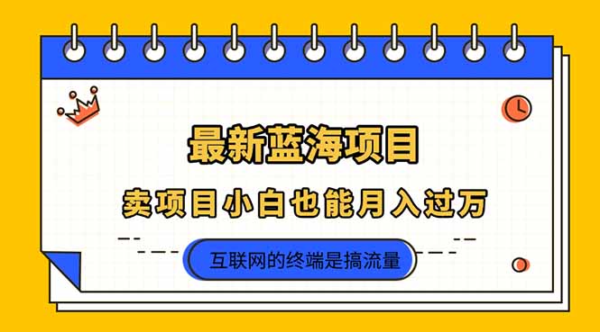 （14289期）2025年最新蓝海项目，卖项目小白也能月入过万-BT狗资源网