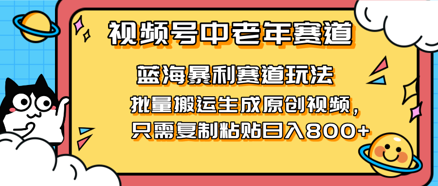 （14314期）2025视频号中老年短视频蓝海暴利风口！复制粘贴搬运视频单日收800+，无...-BT狗资源网