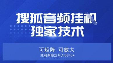 【搜狐音频挂G】独家技术，可矩阵可放大，红利期稳定月入8k【揭秘】-BT狗资源网