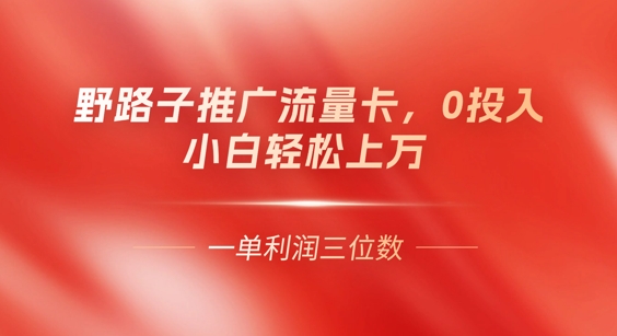 0门槛推广流量卡，一单收益上百，0投入，小白月入过W-BT狗资源网