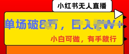 小红书无人直播，纯小白可做，有手就行，单场直播销售额破8w-BT狗资源网