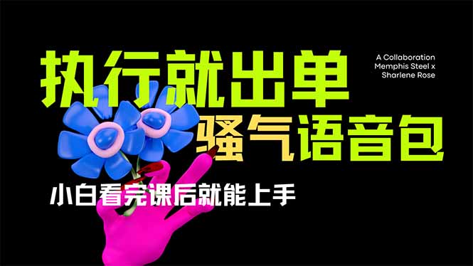 （14170期）爆火全网的开车导航骚气语音包,只要执行就出单，小白看完课程就能实操...-BT狗资源网