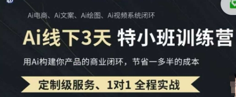 AI实操培训第20-21期线下，0基础保姆级教程，3月最新整理，企业获客、降本增效、打造超级个体-BT狗资源网
