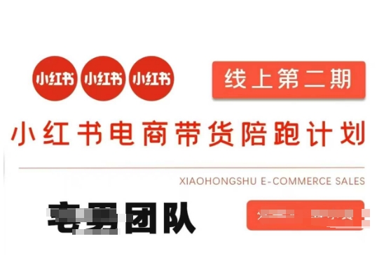 小红书电商带货课2期，月利润20个的小红书电商的有货源，无货源，虚拟产品，付费投流等整套玩法-BT狗资源网