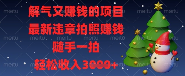解气又挣钱的项目，最新违章拍照挣钱，随手一拍，轻松收入数张【揭秘】-BT狗资源网